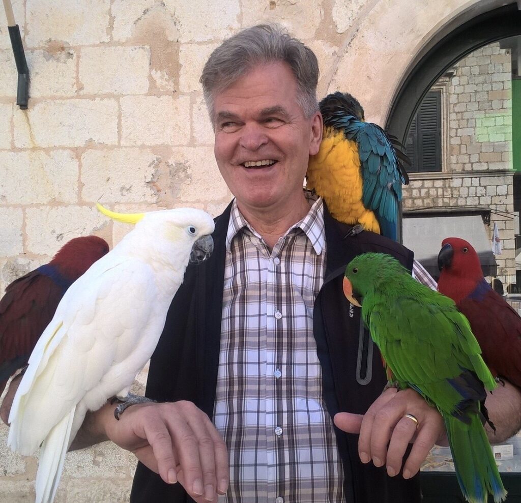 Simo ja papukaijakaverit