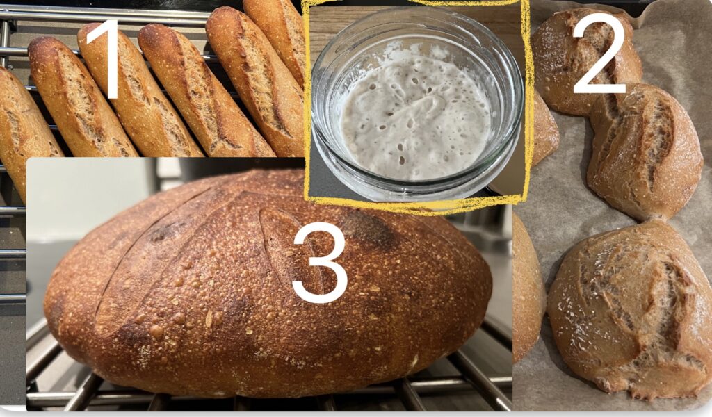 Patongit, sämpylät ja leipä