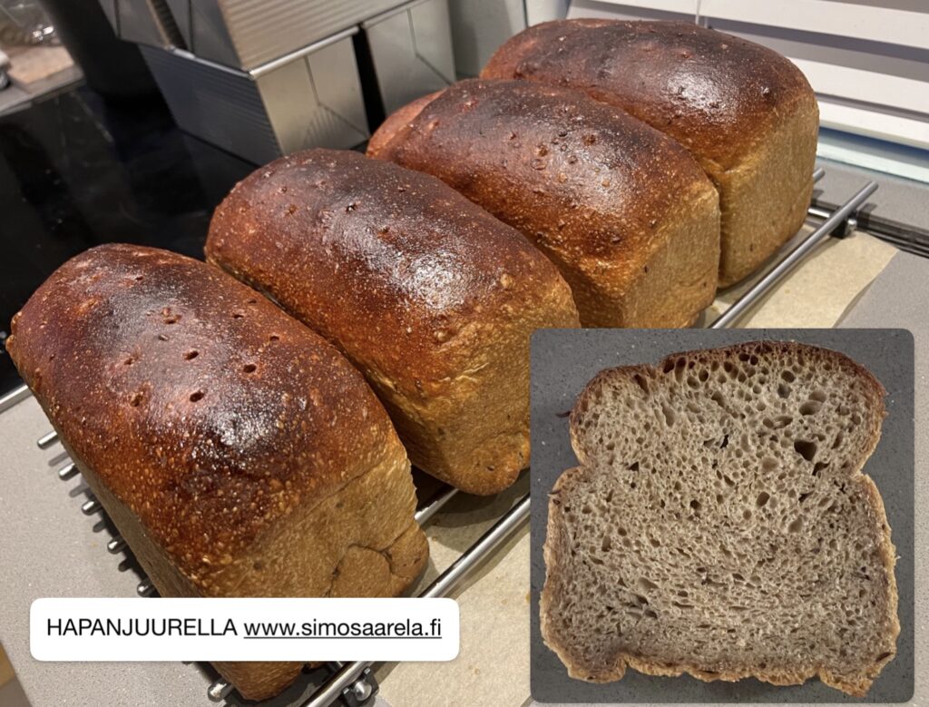 Valmiit leivät ja viipale