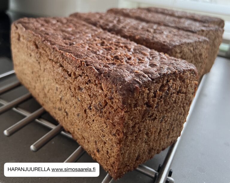 Terveysleipä – versio 2024